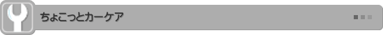 ちょこっとカーケア