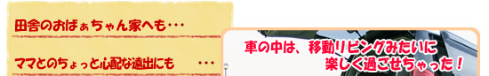 あったらいいな快適カーライフ見出し